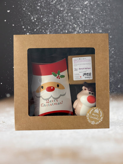 Coffrets Noël 2025 Baumes à lèvres macarons Gourmands